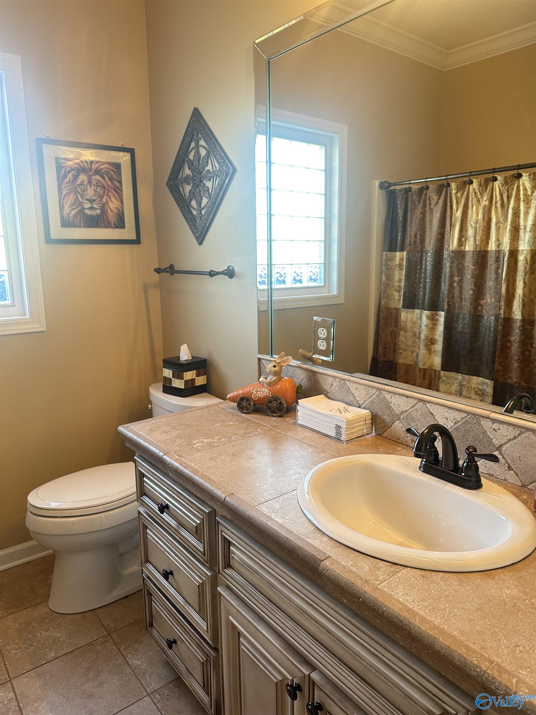 5050 Lily Road, Hokes Bluff, Alabama image 25