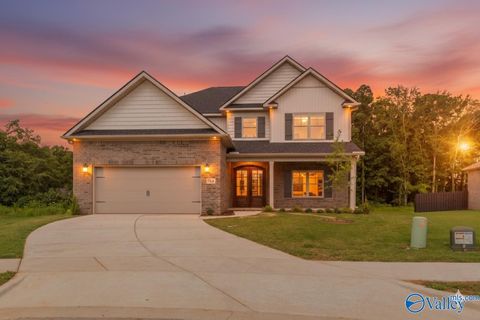 Homes For Sale - 104 Ayers Spring Road<br/> New Market, AL 35761