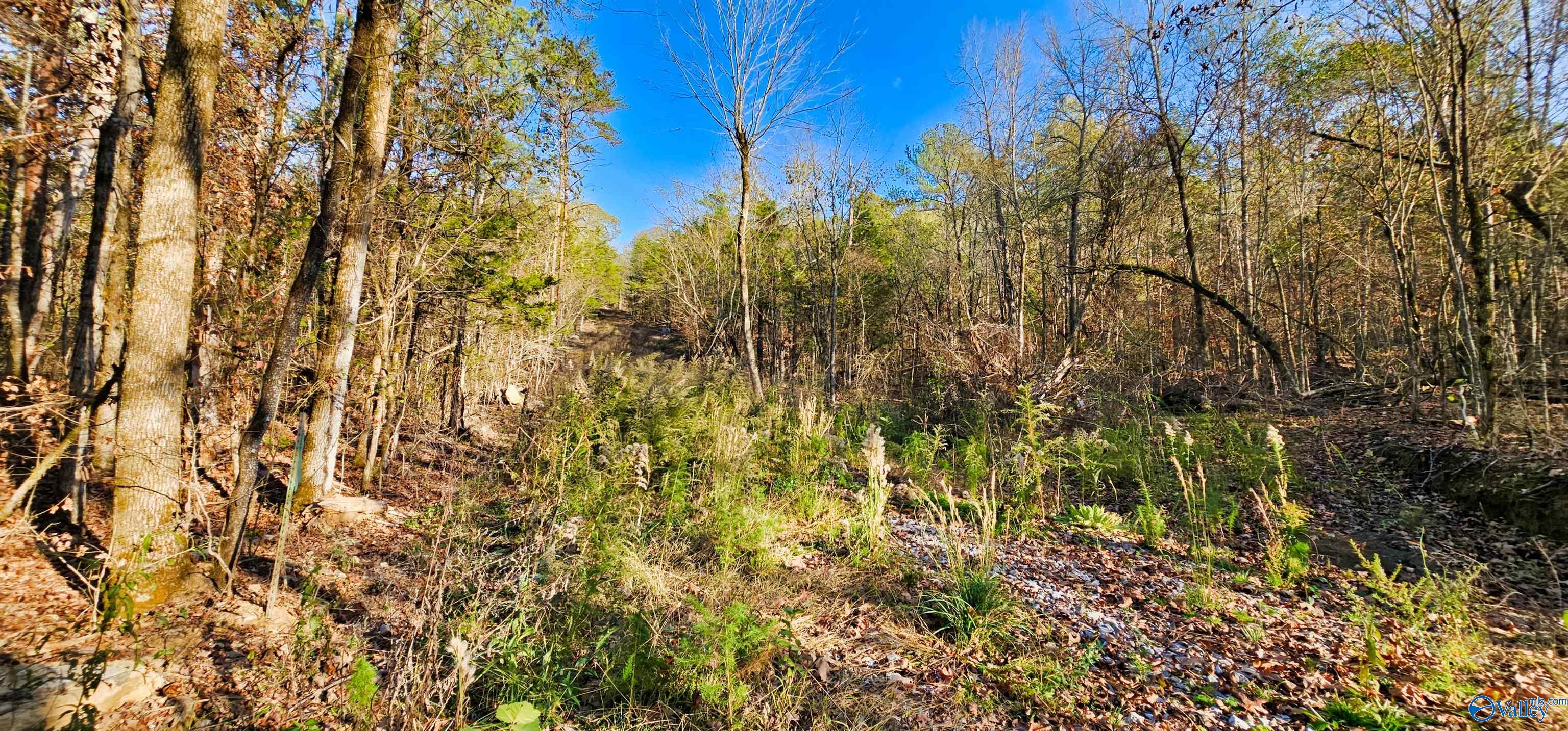 8 +/- Acres Browns Valley Road, Guntersville, Alabama image 17