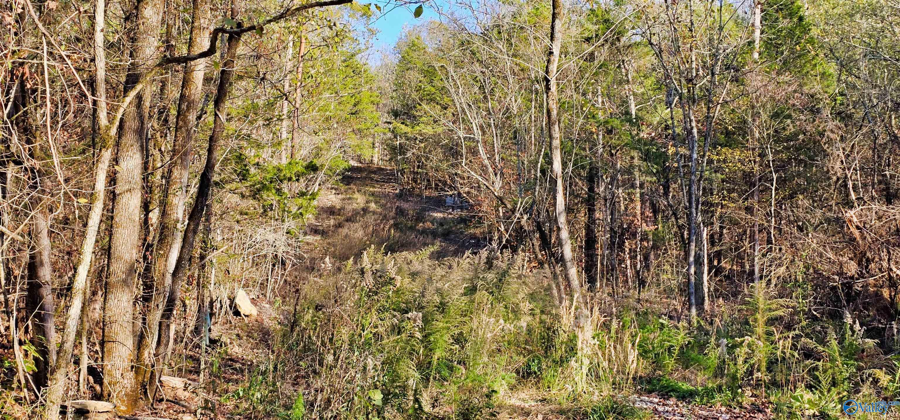 8 +/- Acres Browns Valley Road, Guntersville, Alabama image 26