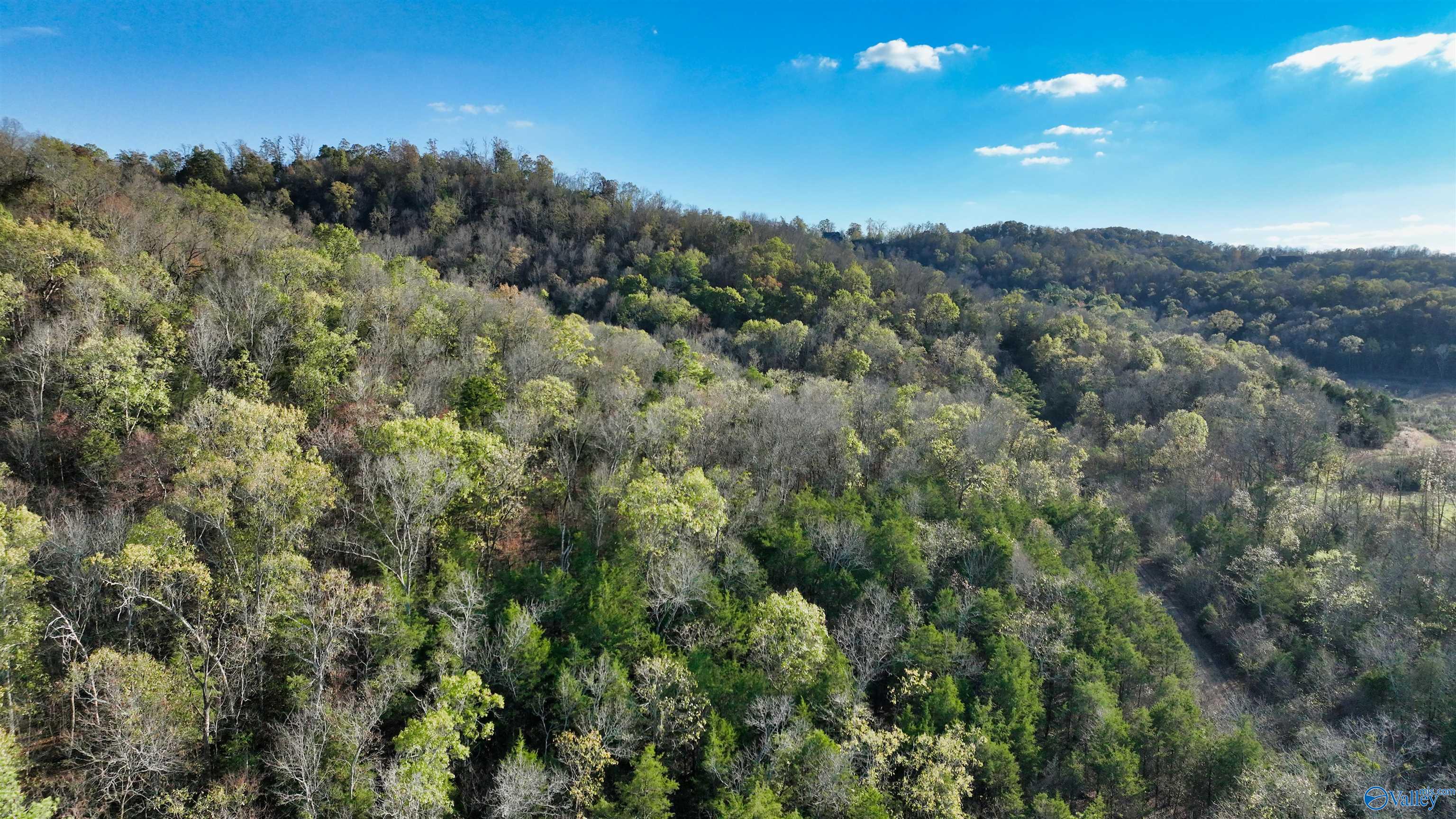 8 +/- Acres Browns Valley Road, Guntersville, Alabama image 34