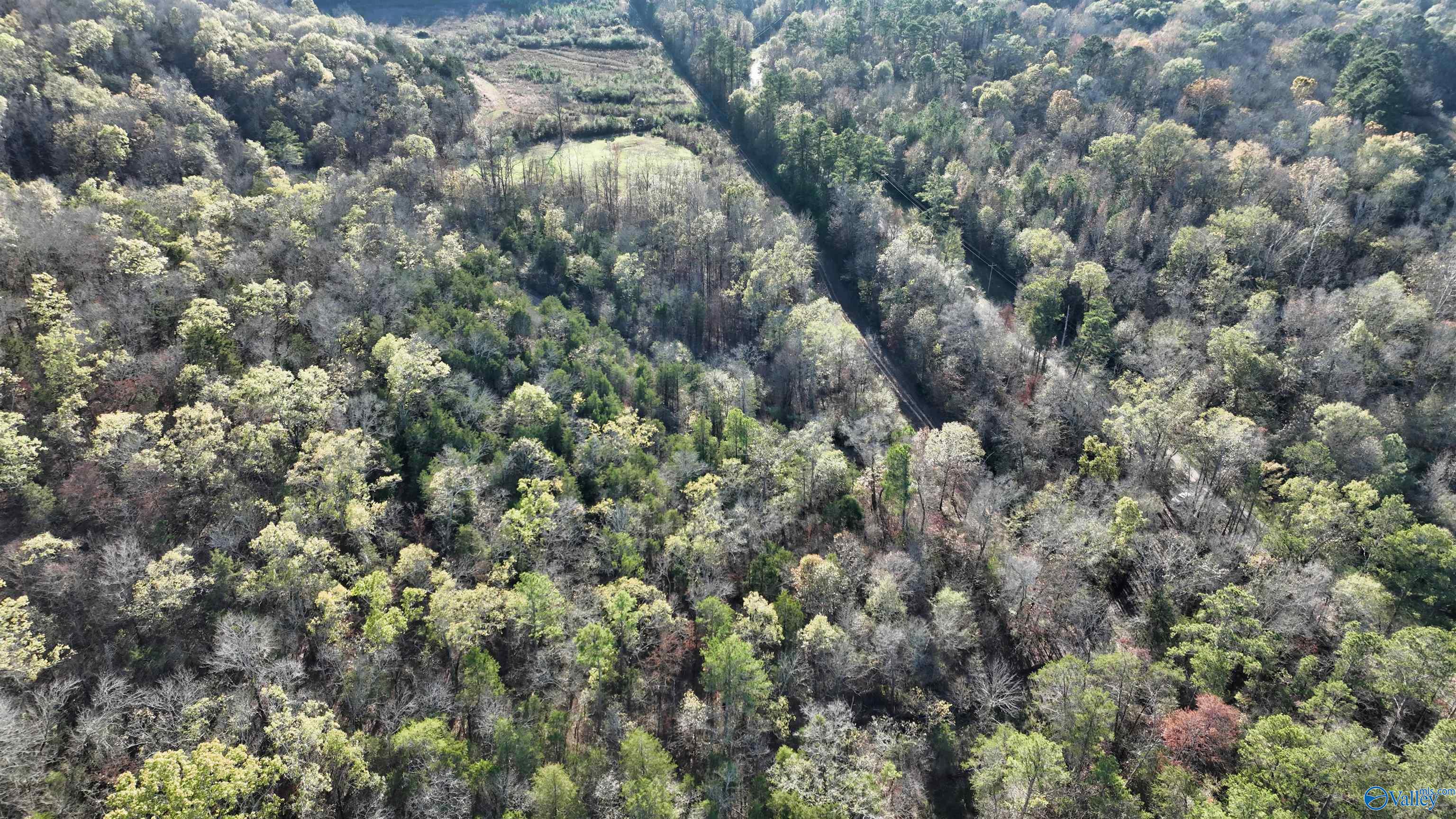 8 +/- Acres Browns Valley Road, Guntersville, Alabama image 37