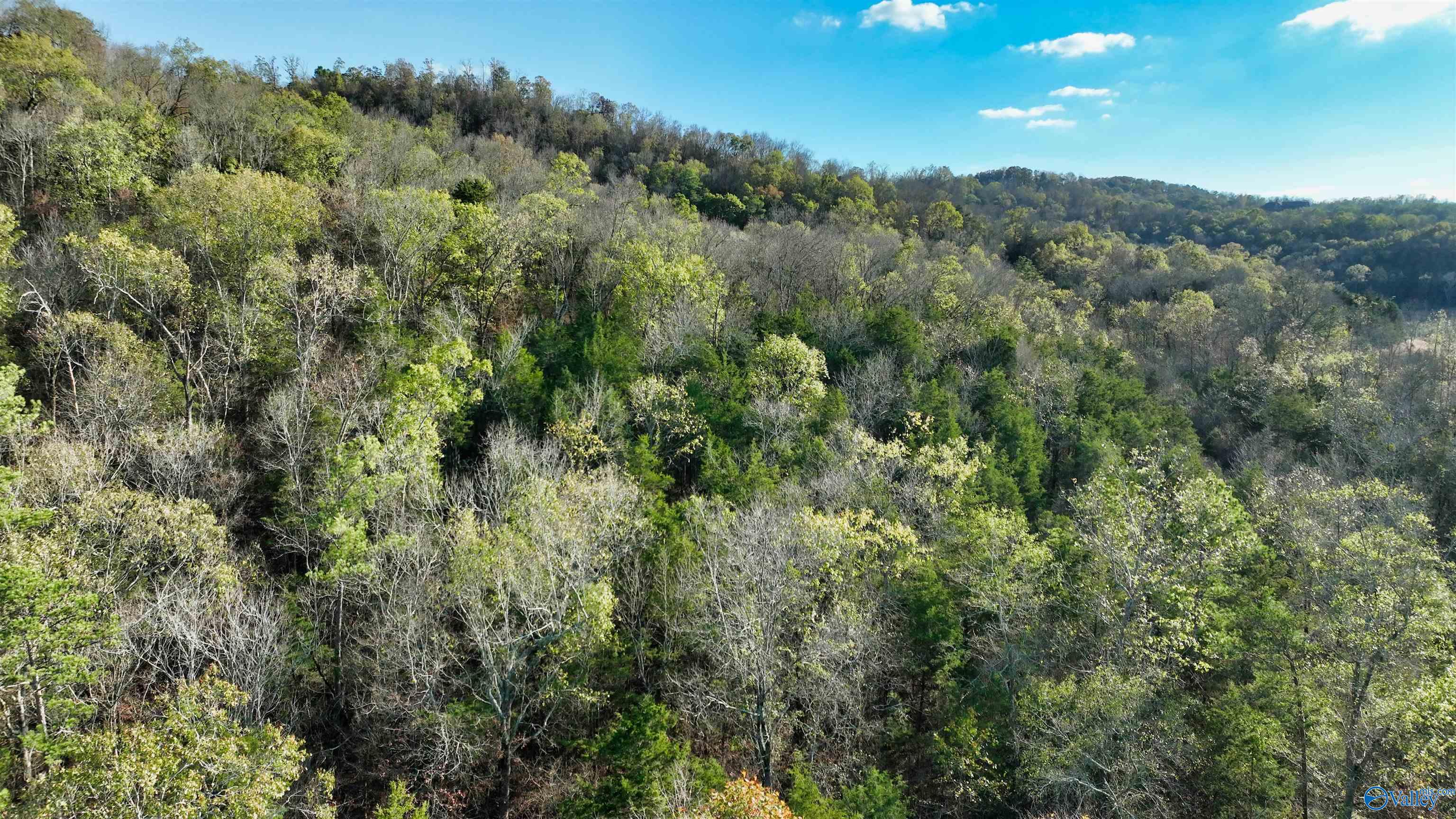 8 +/- Acres Browns Valley Road, Guntersville, Alabama image 33