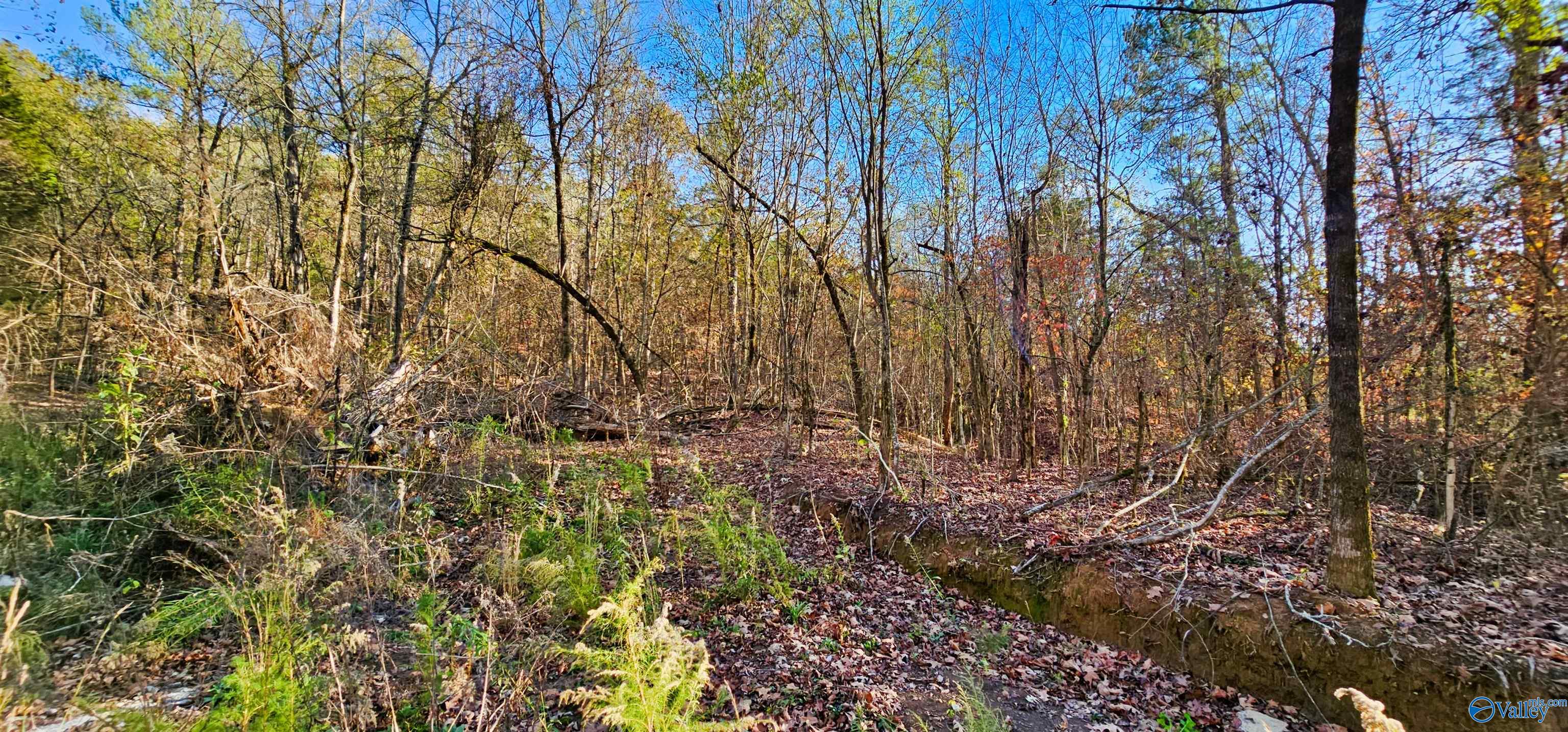 8 +/- Acres Browns Valley Road, Guntersville, Alabama image 7