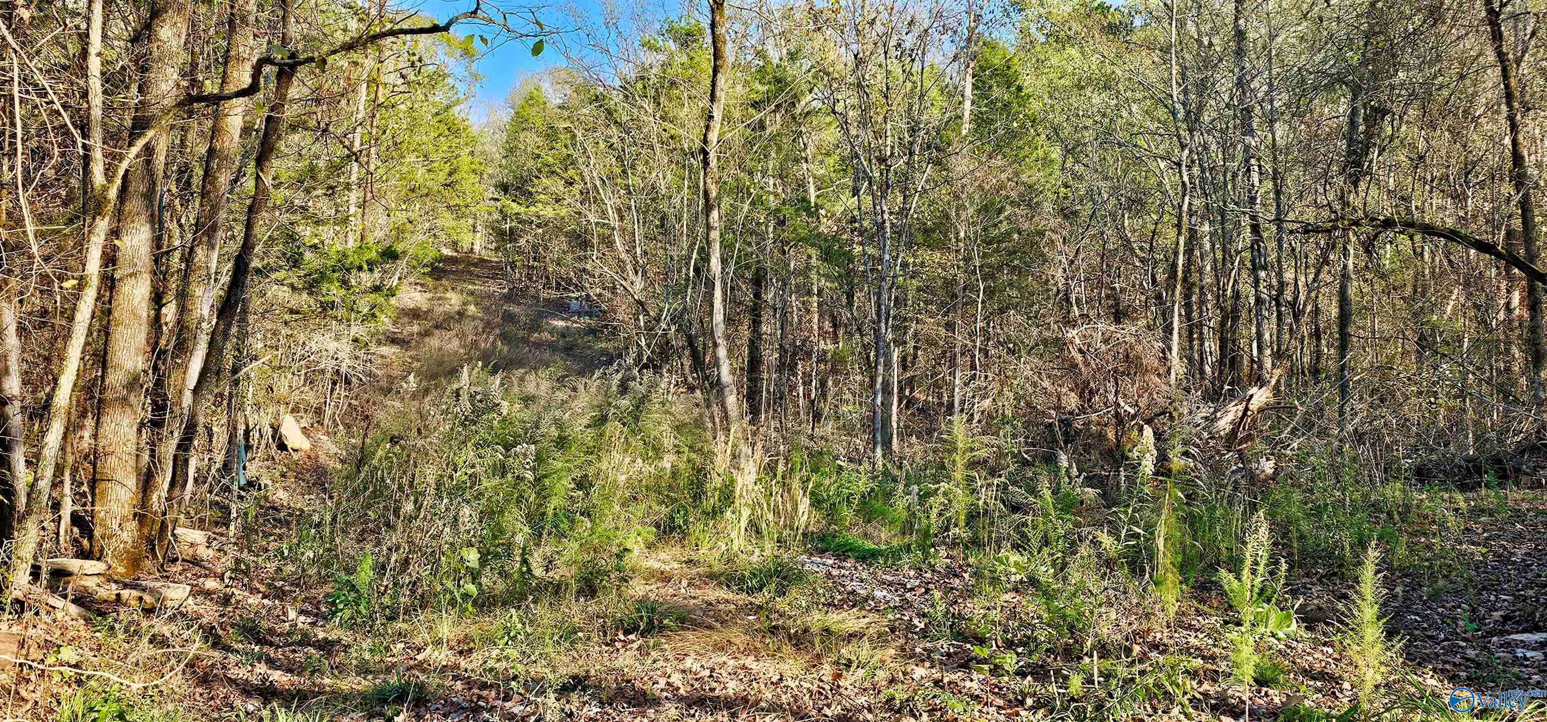 8 +/- Acres Browns Valley Road, Guntersville, Alabama image 24