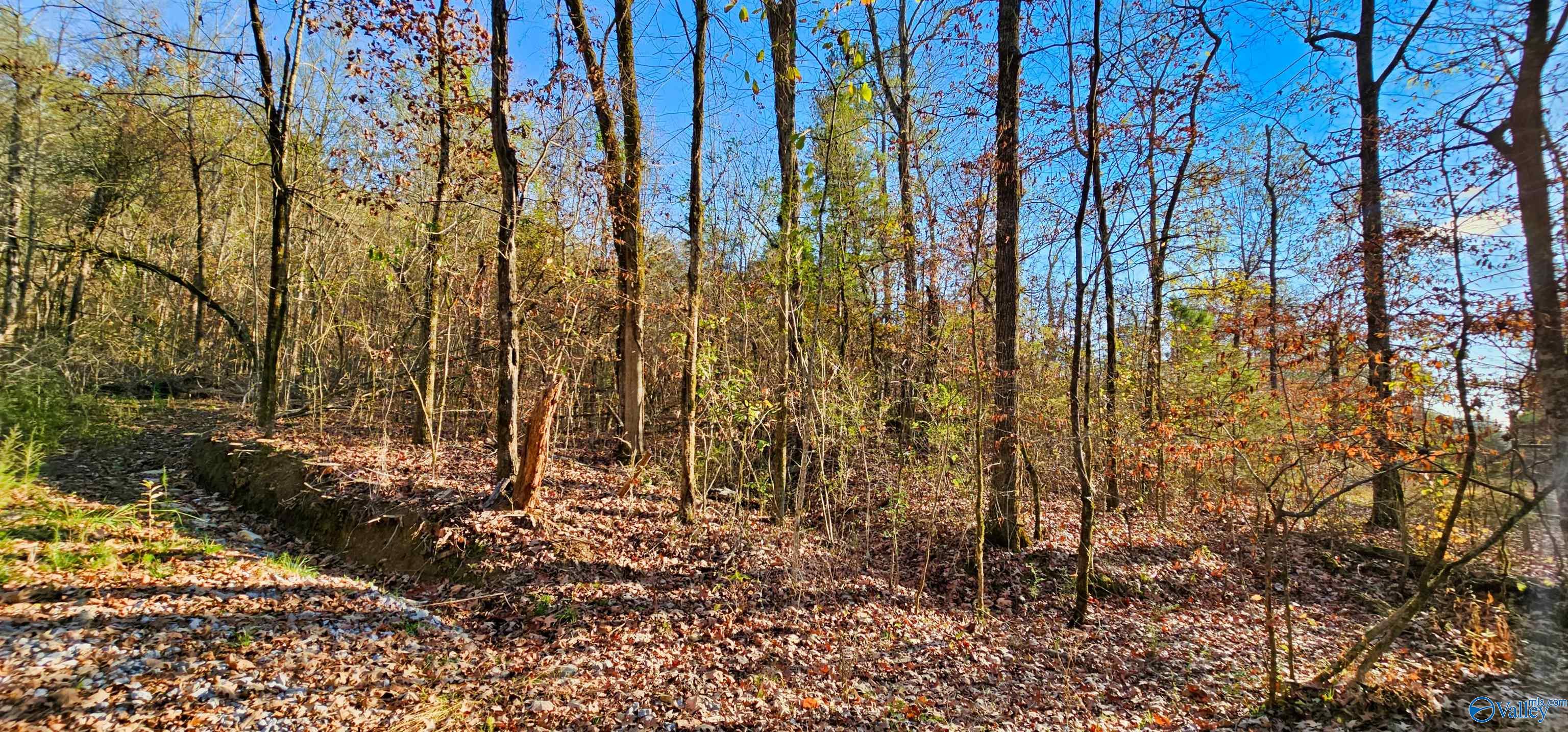 8 +/- Acres Browns Valley Road, Guntersville, Alabama image 19