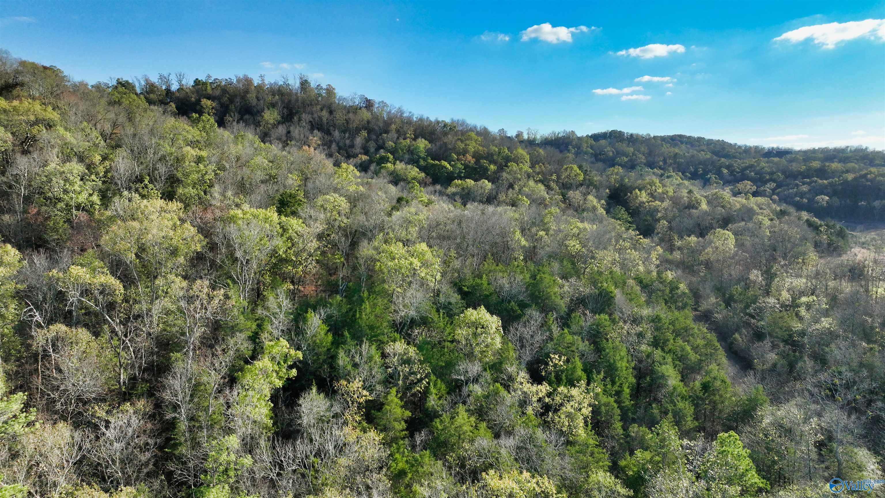 8 +/- Acres Browns Valley Road, Guntersville, Alabama image 9