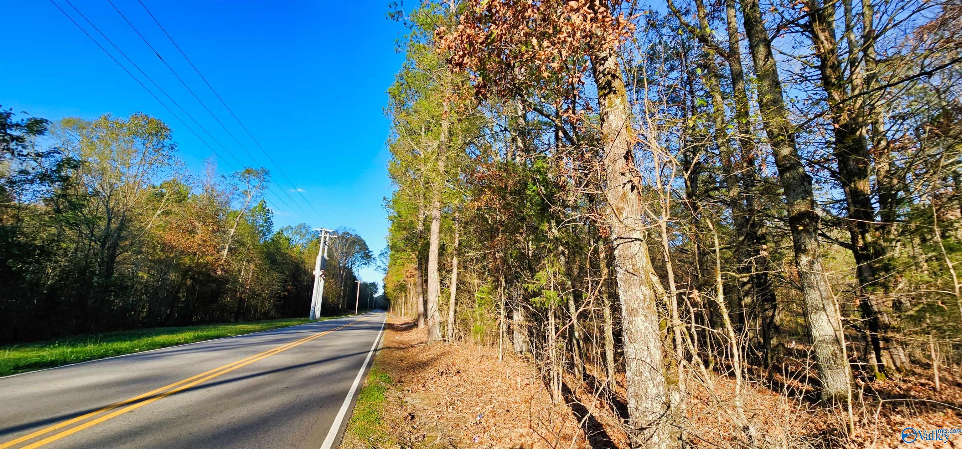 8 +/- Acres Browns Valley Road, Guntersville, Alabama image 2