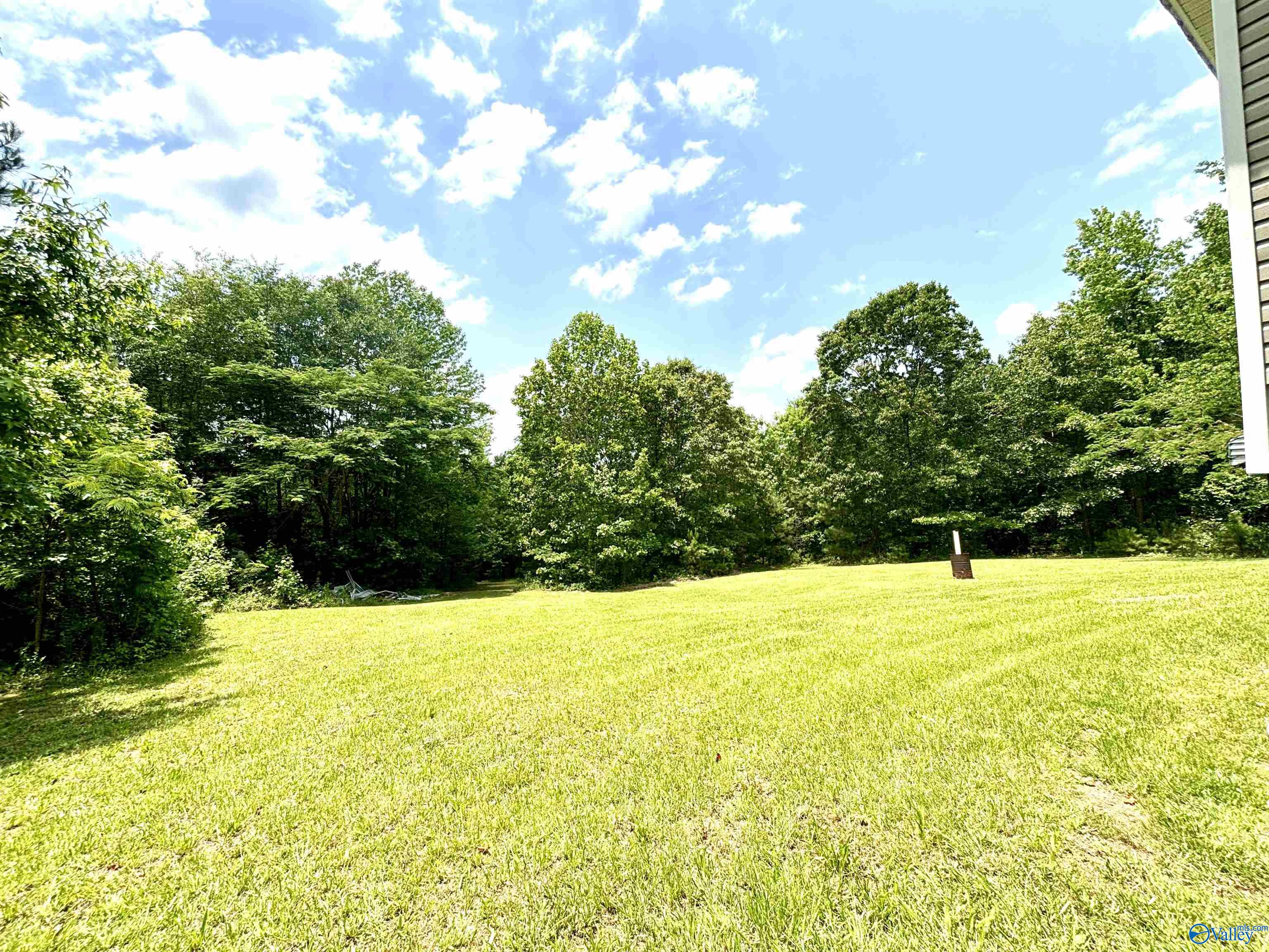 1315 Old Sheffield Gap Road, Attalla, Alabama image 30