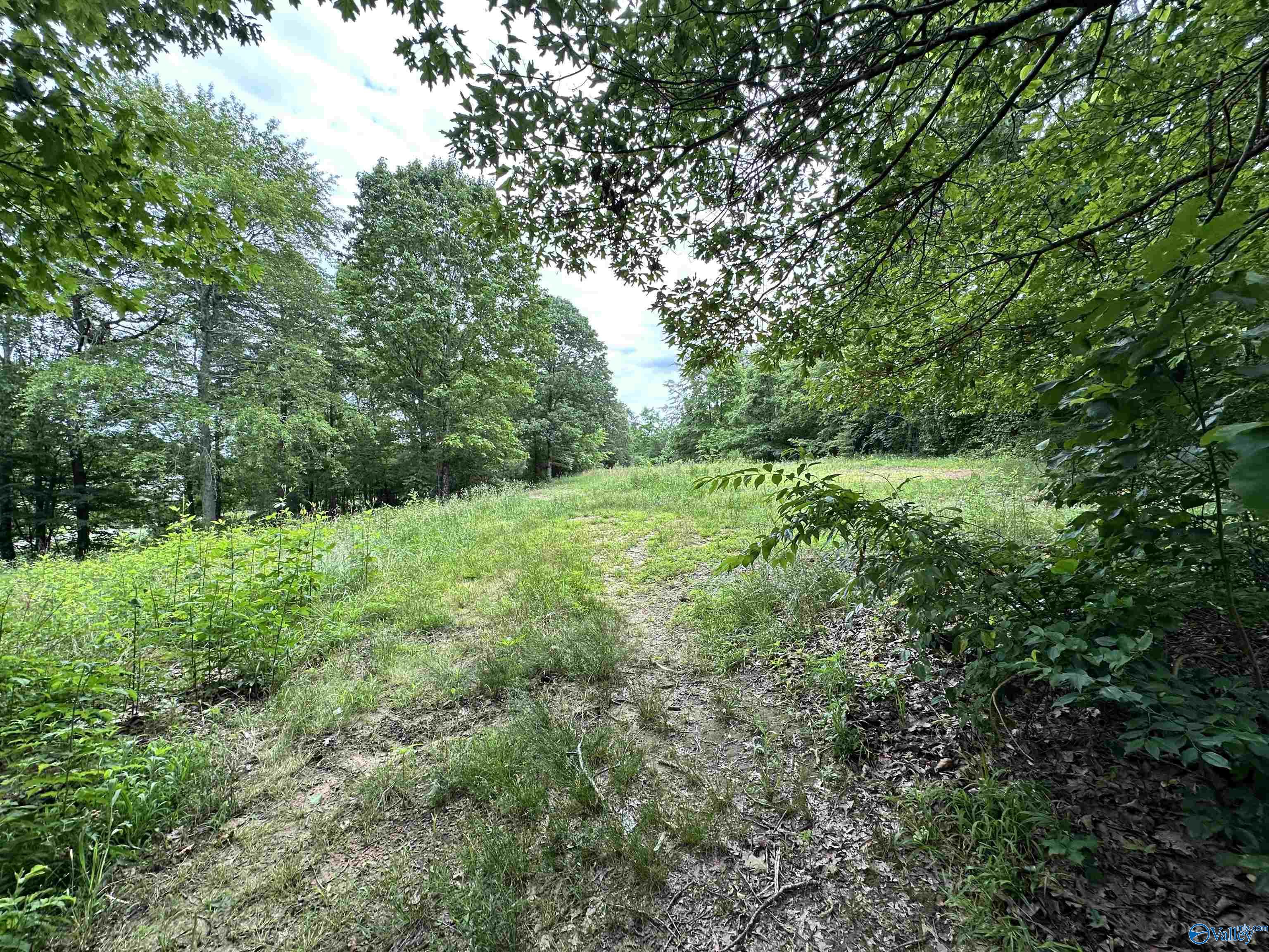 2208 Pumpkin Center Road, Fort Payne, Alabama image 34
