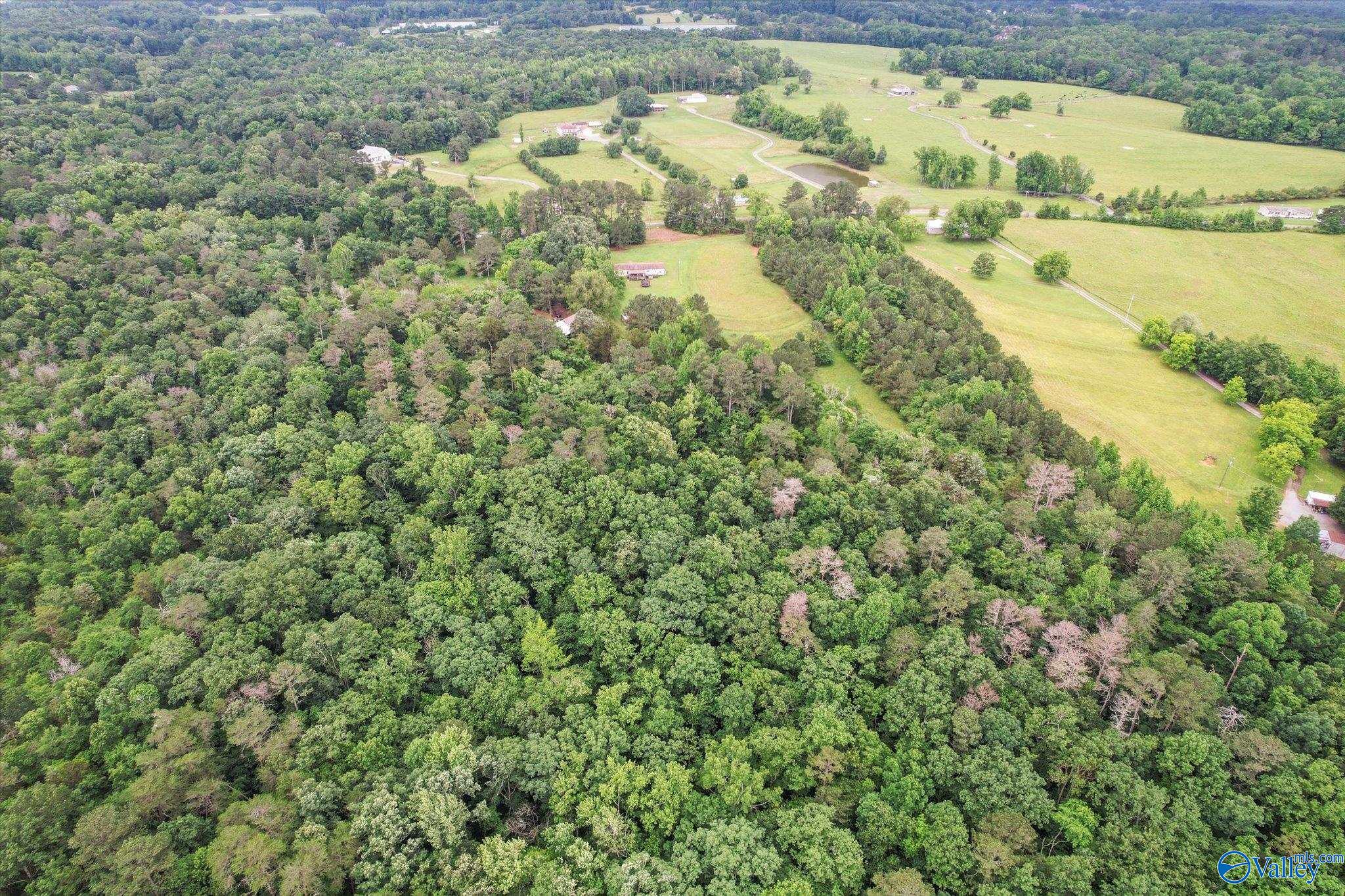 16 Acres Georgia Mountain Road, Guntersville, Alabama image 8