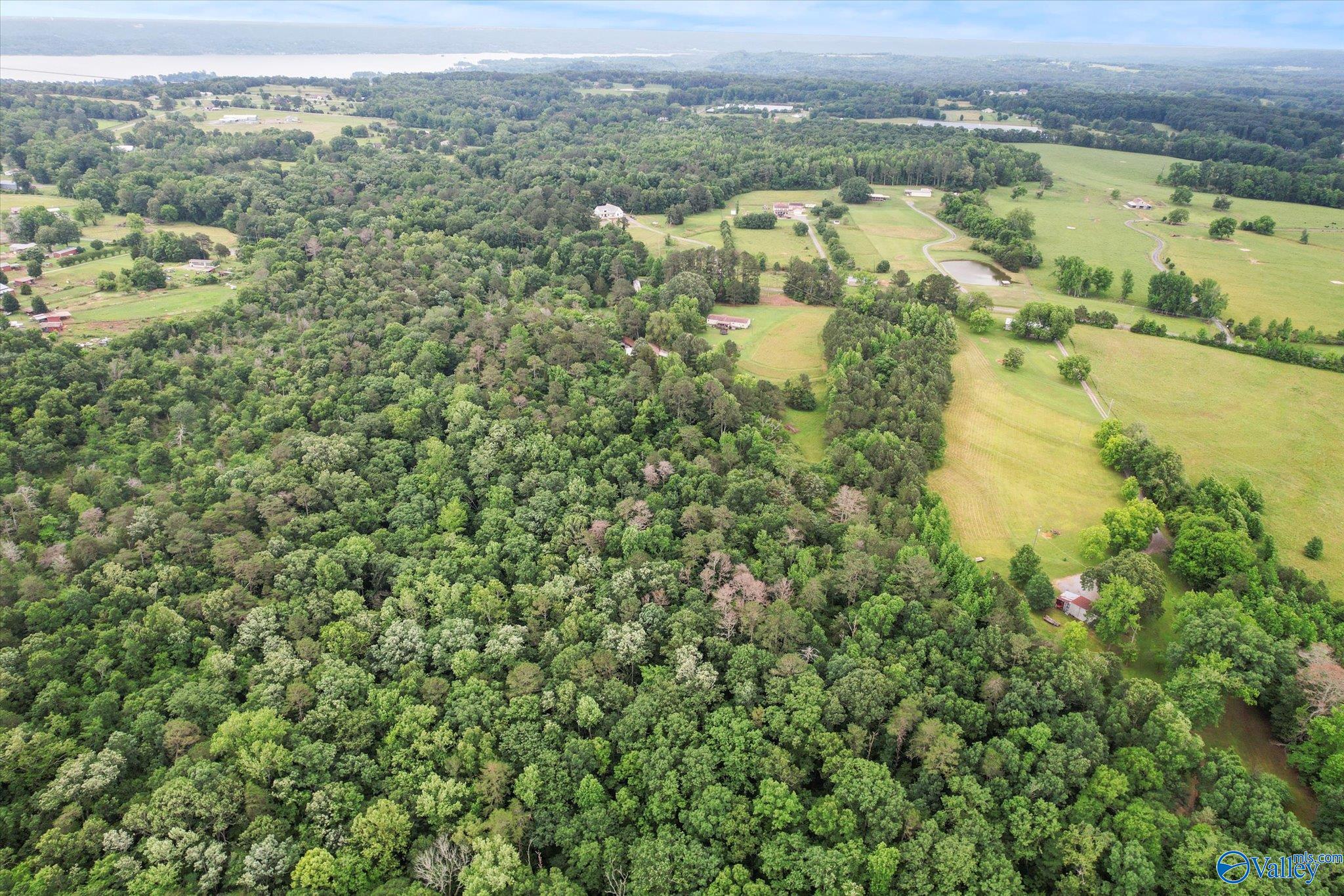 16 Acres Georgia Mountain Road, Guntersville, Alabama image 4