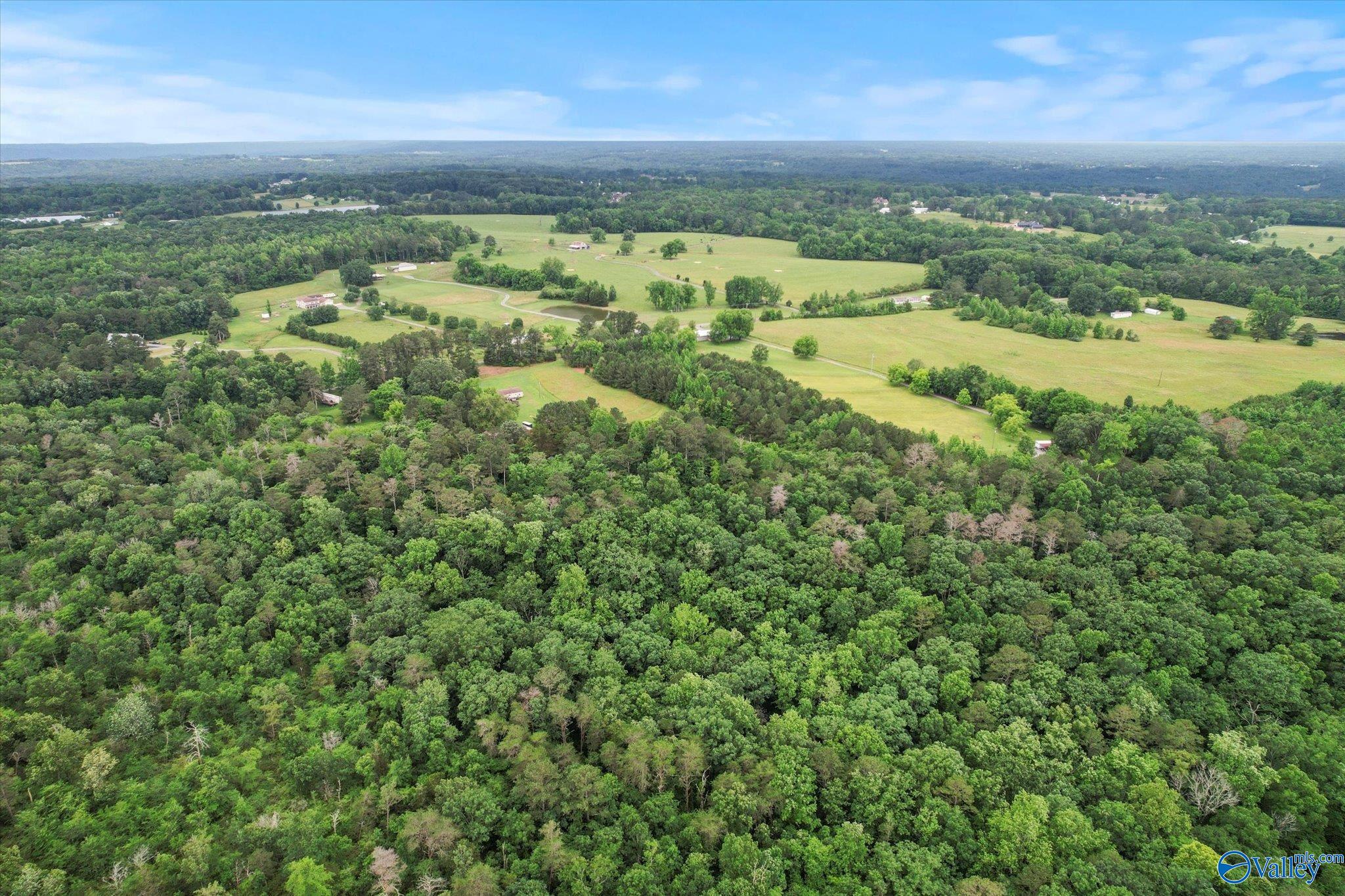 16 Acres Georgia Mountain Road, Guntersville, Alabama image 6