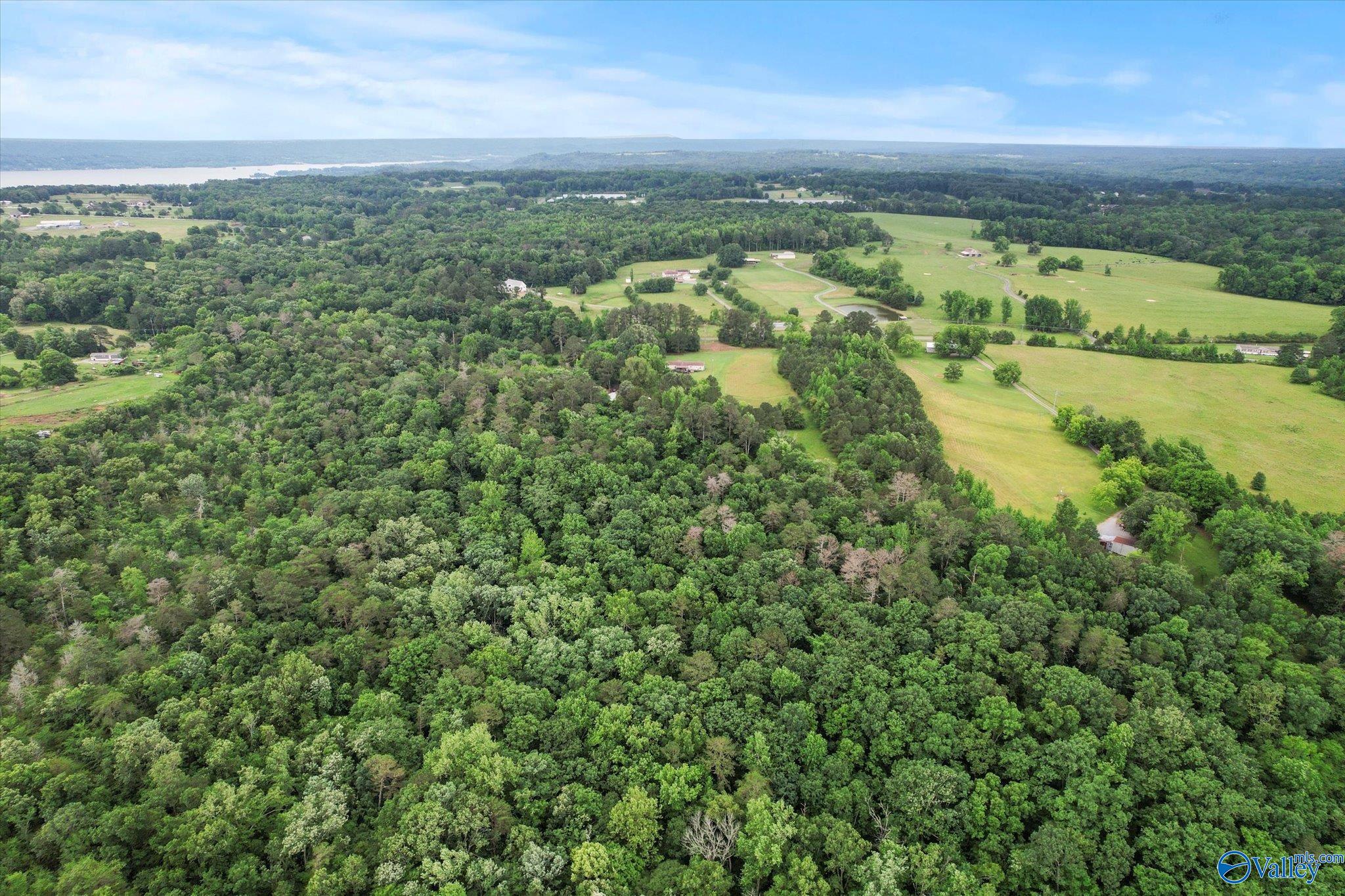 16 Acres Georgia Mountain Road, Guntersville, Alabama image 5