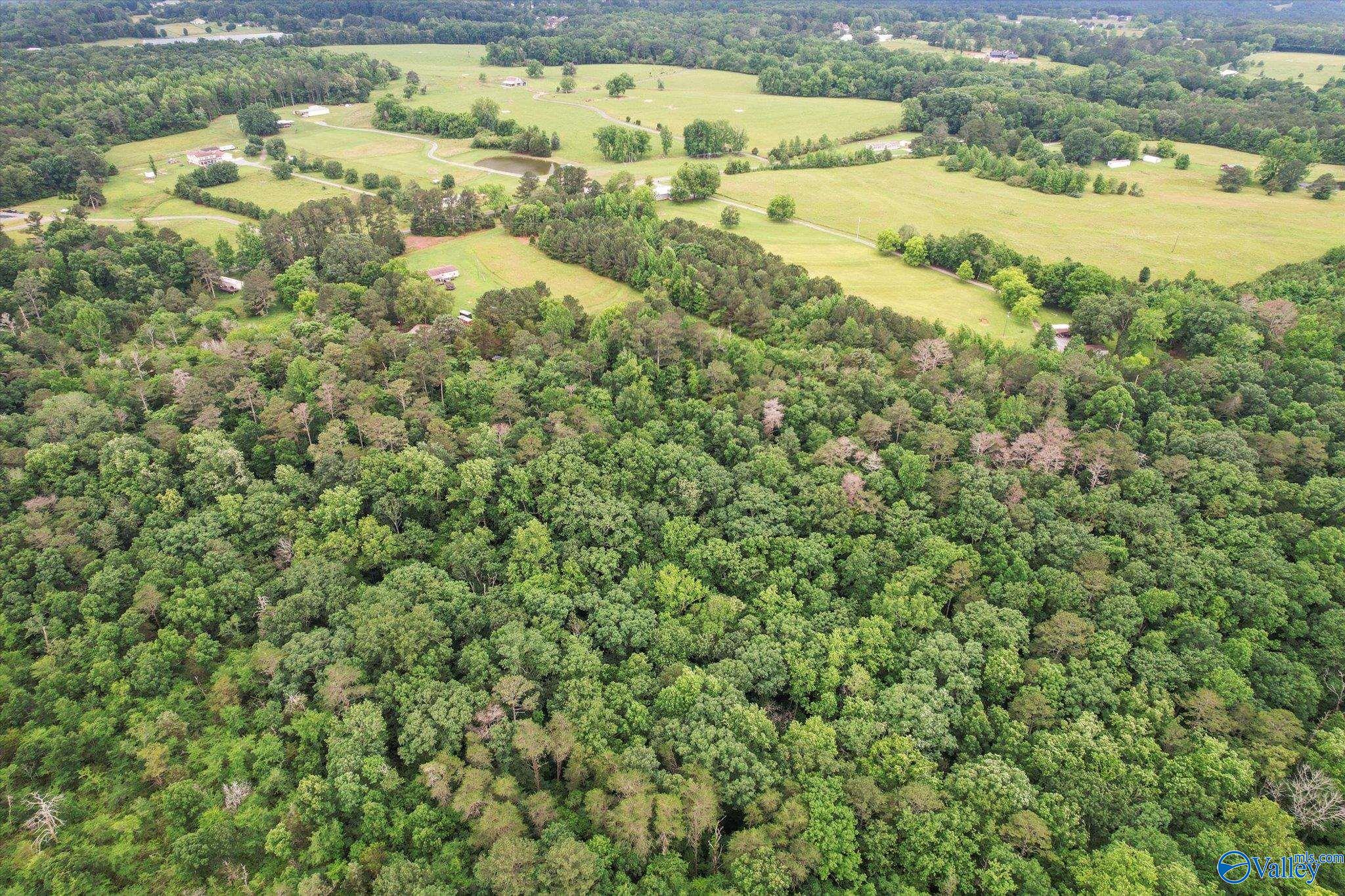 16 Acres Georgia Mountain Road, Guntersville, Alabama image 7