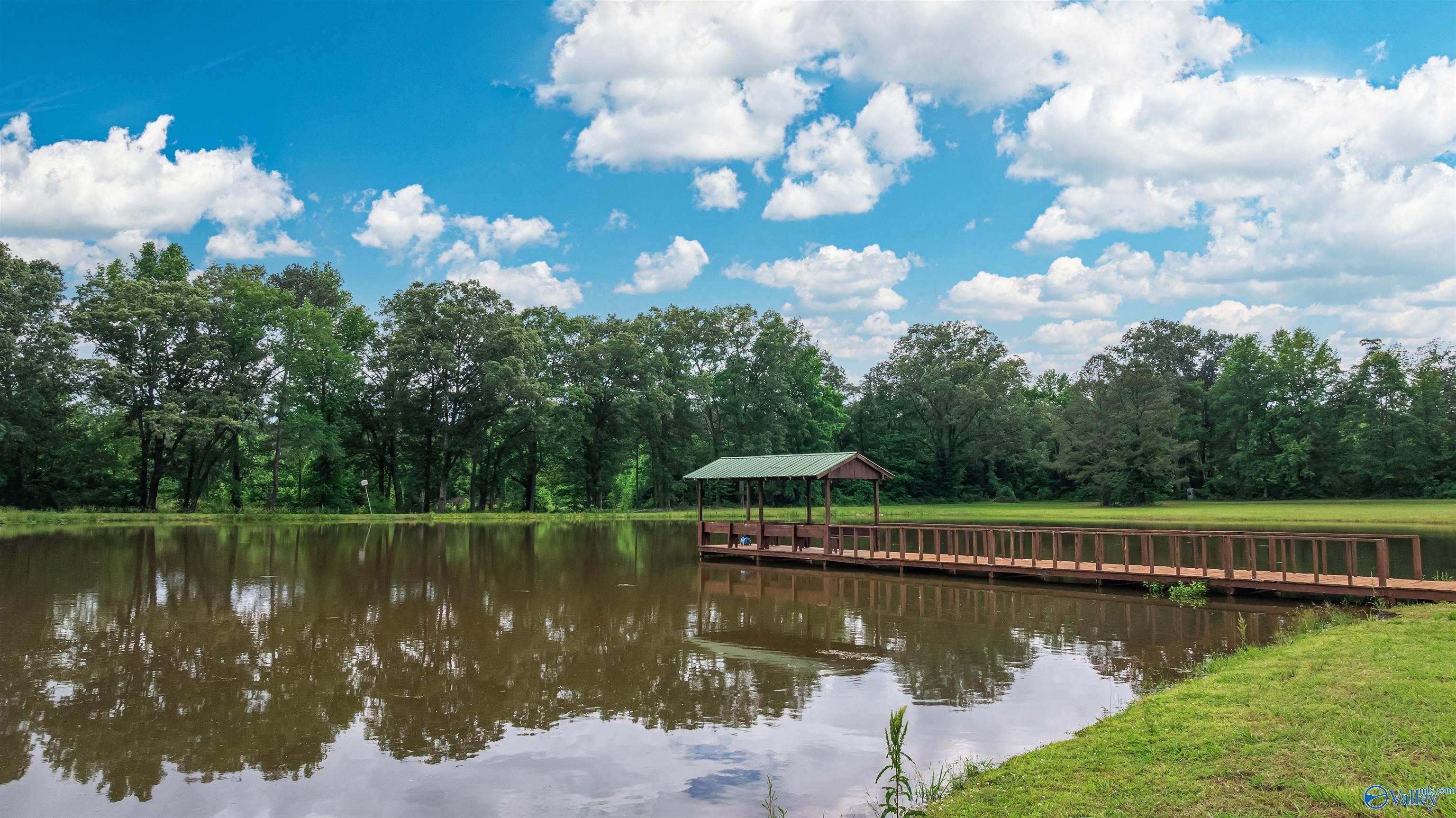 6263 South Sauty Road, Langston, Alabama image 14