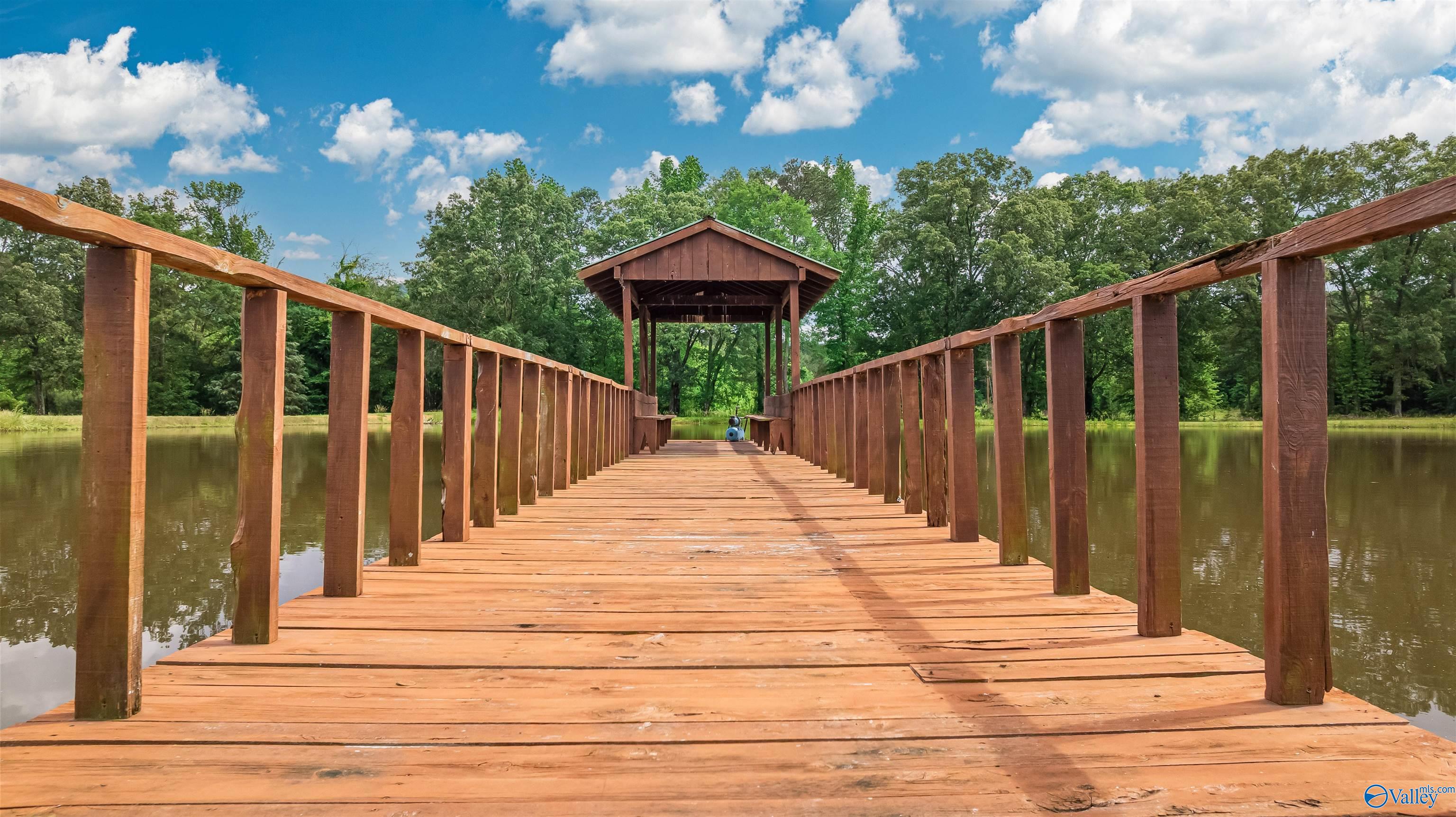 6263 South Sauty Road, Langston, Alabama image 15