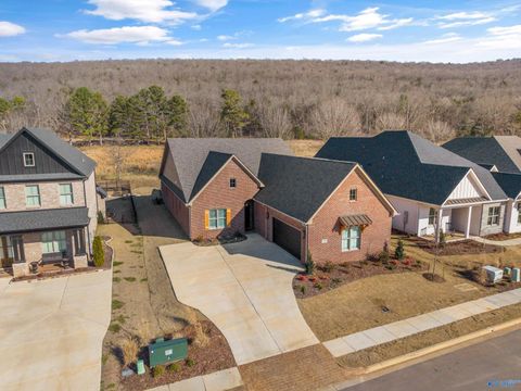 Homes For Sale - 19 Havenstone Way<br/> Madison County, Gurley, AL 35748
