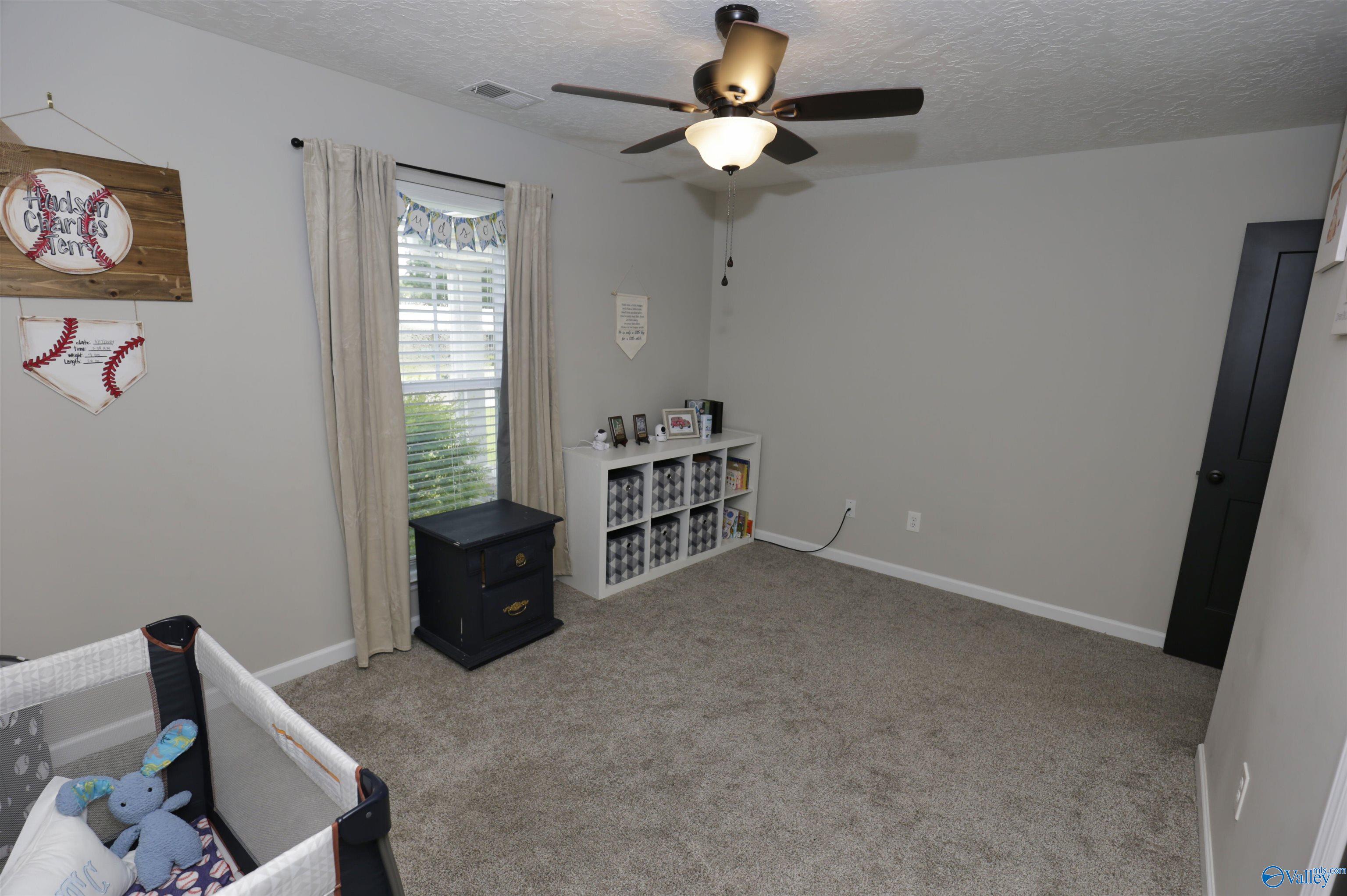 2655 Reeves Street, Hokes Bluff, Alabama image 9
