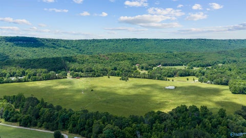 Vacant Land For Sale - 110 ACRES County Road 15 Cir<br/> Gaylesville, AL 35972