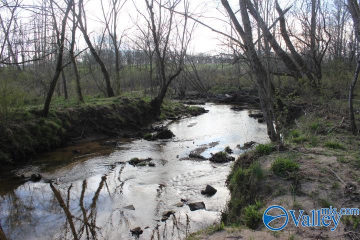 338 County Road 657, Rainsville, Alabama image 3