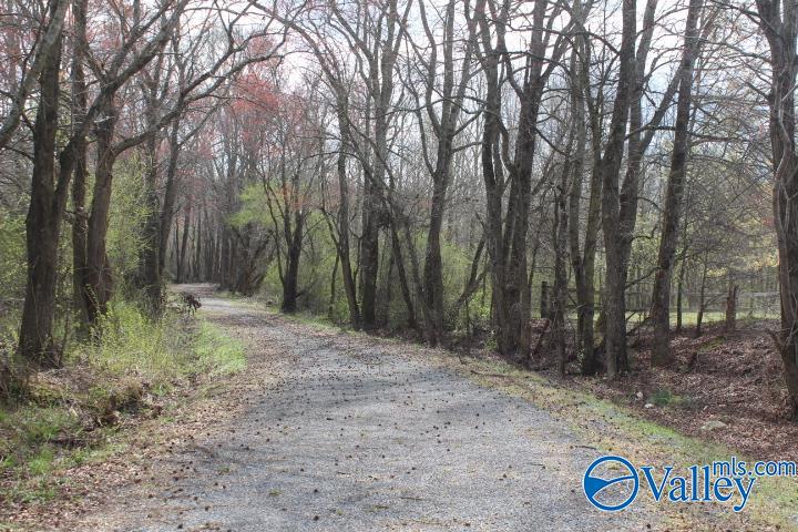 338 County Road 657, Rainsville, Alabama image 44