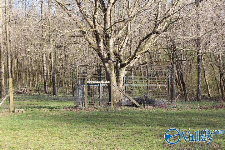 338 County Road 657, Rainsville, Alabama image 22