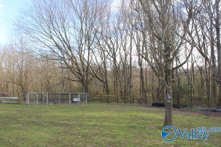 338 County Road 657, Rainsville, Alabama image 18