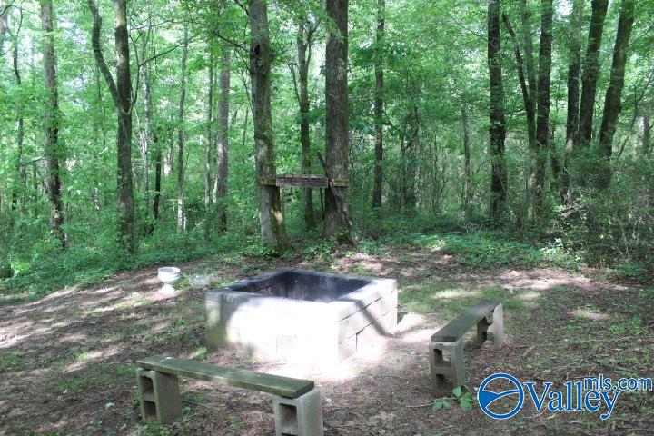 338 County Road 657, Rainsville, Alabama image 6