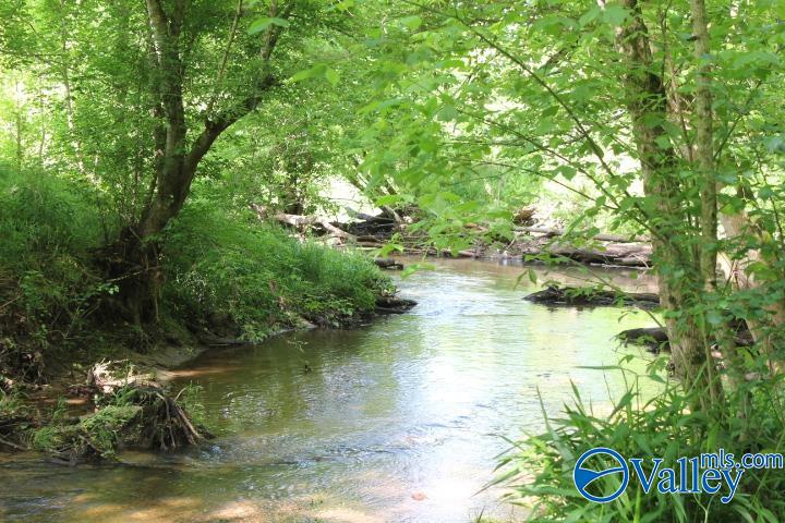 338 County Road 657, Rainsville, Alabama image 3