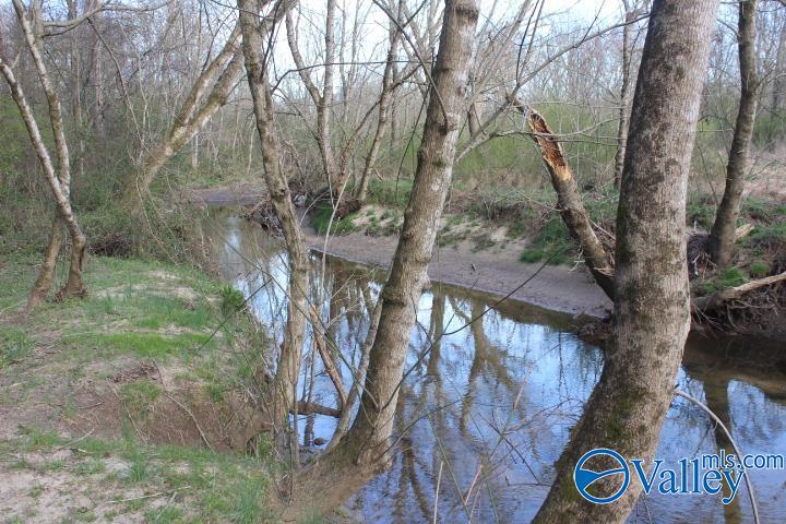 338 County Road 657, Rainsville, Alabama image 5