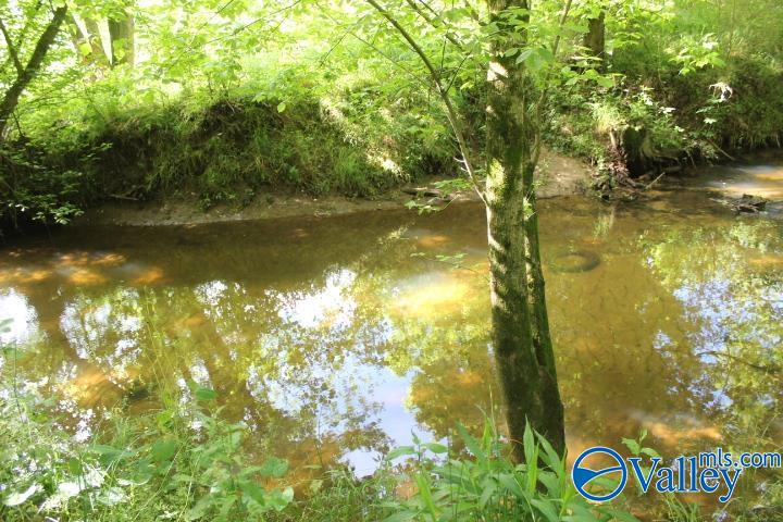 338 County Road 657, Rainsville, Alabama image 4