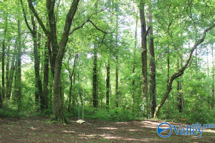 338 County Road 657, Rainsville, Alabama image 16