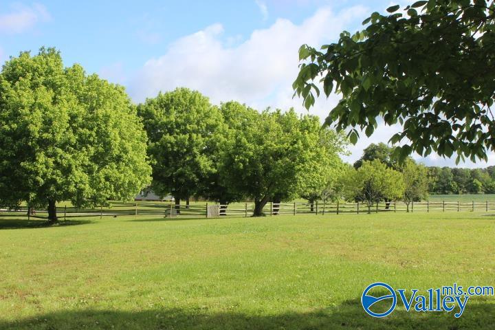 338 County Road 657, Rainsville, Alabama image 21