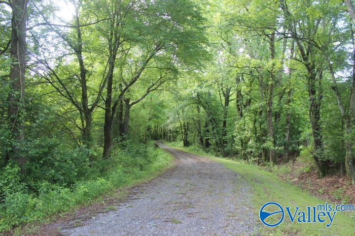 338 County Road 657, Rainsville, Alabama image 2