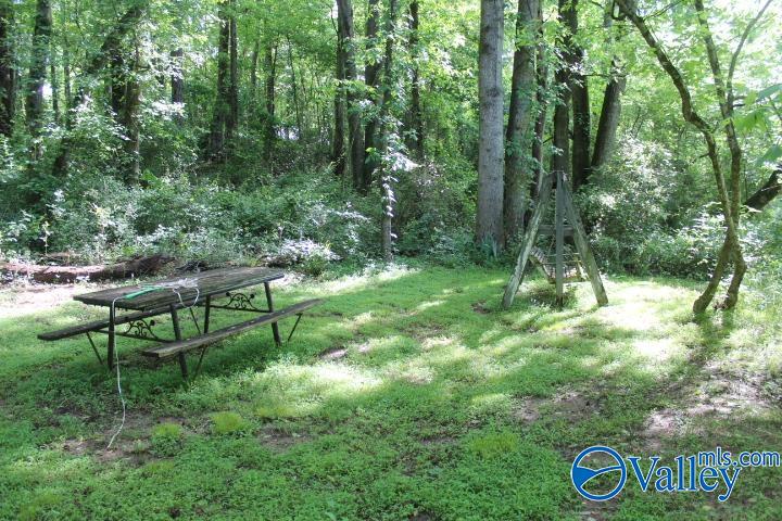 338 County Road 657, Rainsville, Alabama image 15