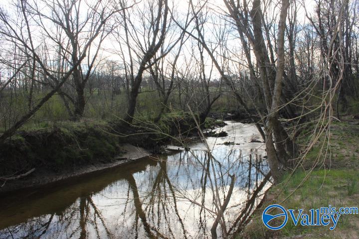 338 County Road 657, Rainsville, Alabama image 4