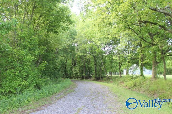 338 County Road 657, Rainsville, Alabama image 44