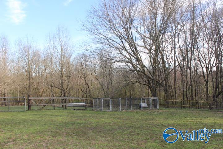 338 County Road 657, Rainsville, Alabama image 20