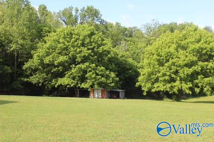 338 County Road 657, Rainsville, Alabama image 22