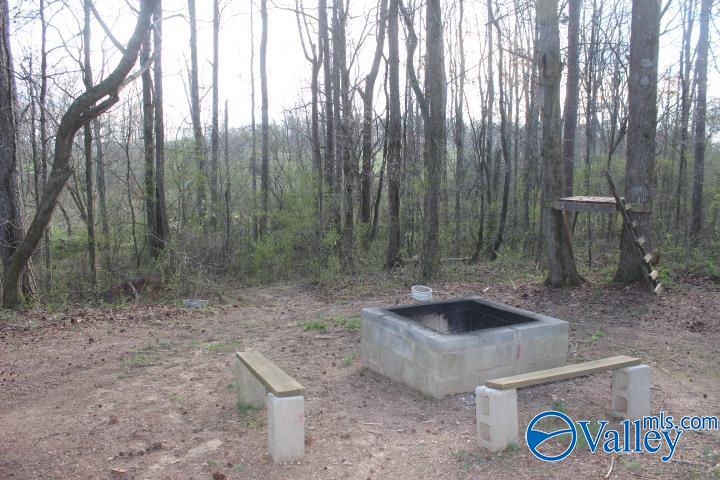 338 County Road 657, Rainsville, Alabama image 6