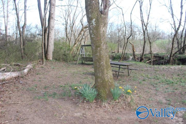 338 County Road 657, Rainsville, Alabama image 16