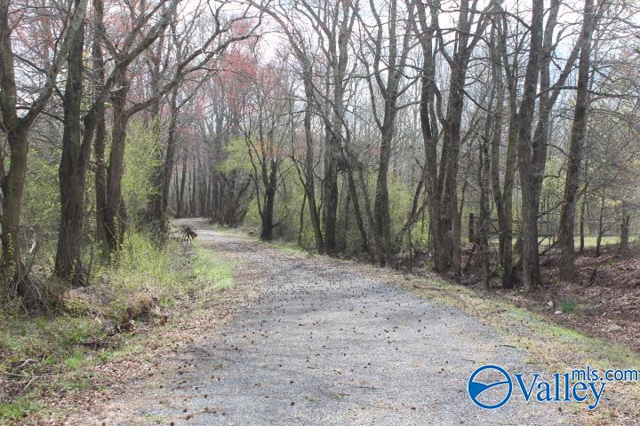 338 County Road 657, Rainsville, Alabama image 2