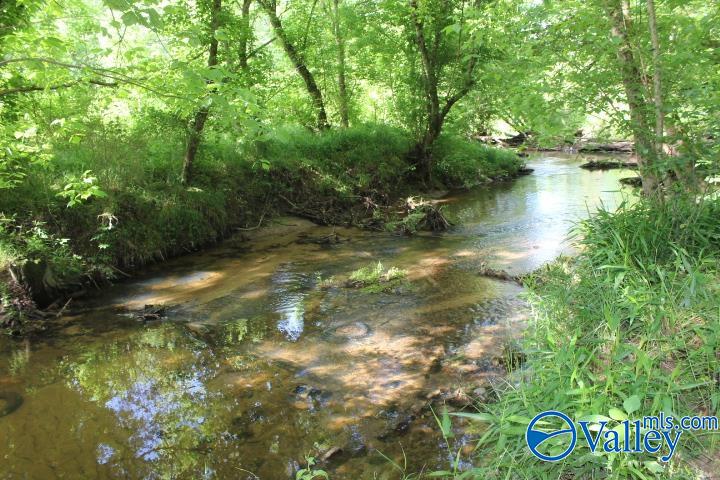 338 County Road 657, Rainsville, Alabama image 5