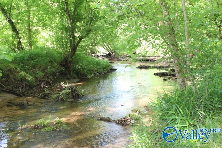 338 County Road 657, Rainsville, Alabama image 42