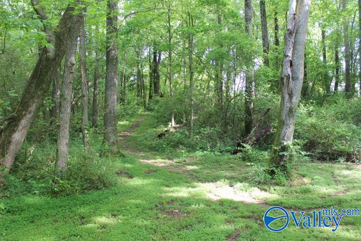 338 County Road 657, Rainsville, Alabama image 18