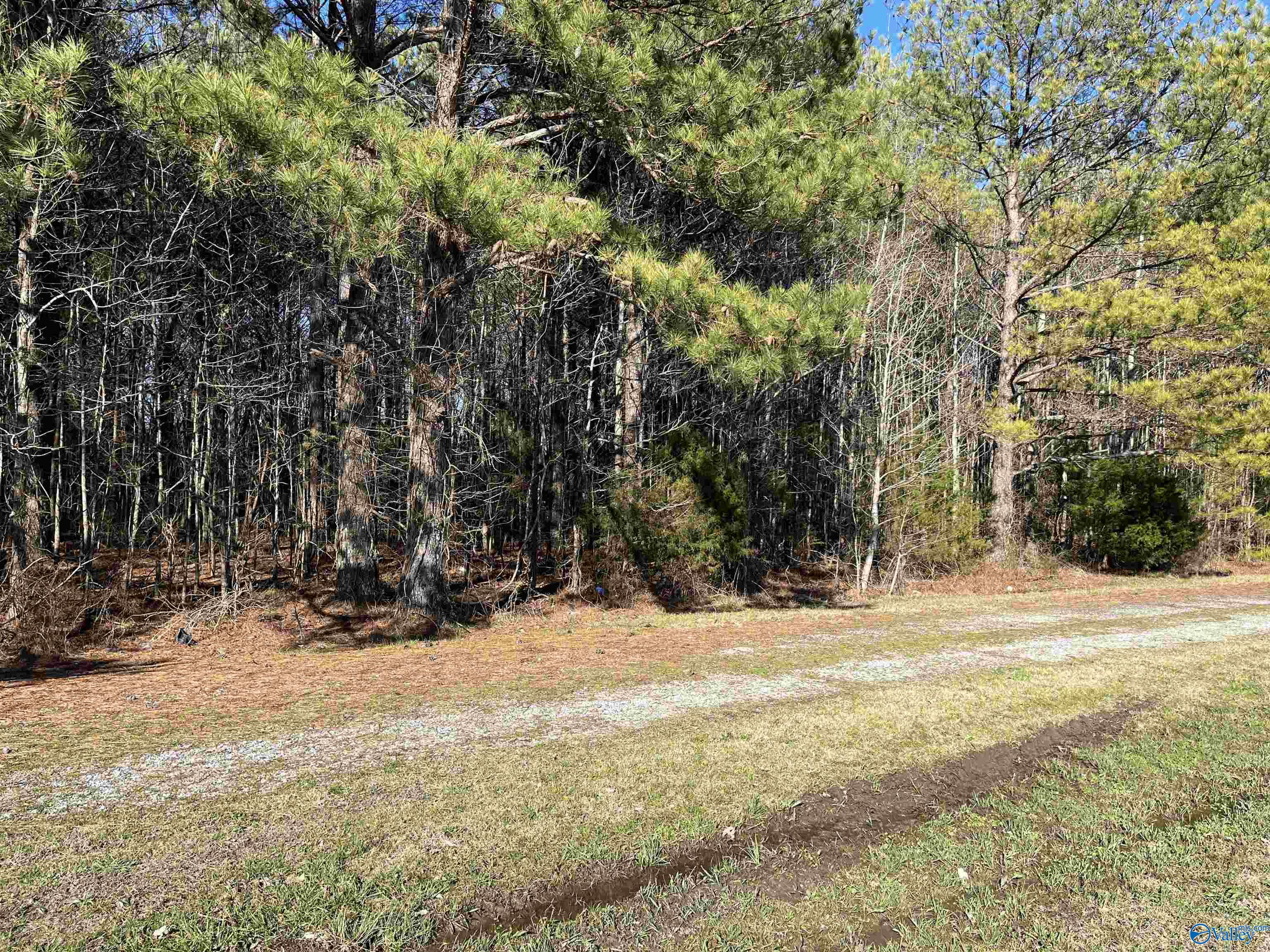 20 Ac Sierra Drive, Decatur, Alabama image 7