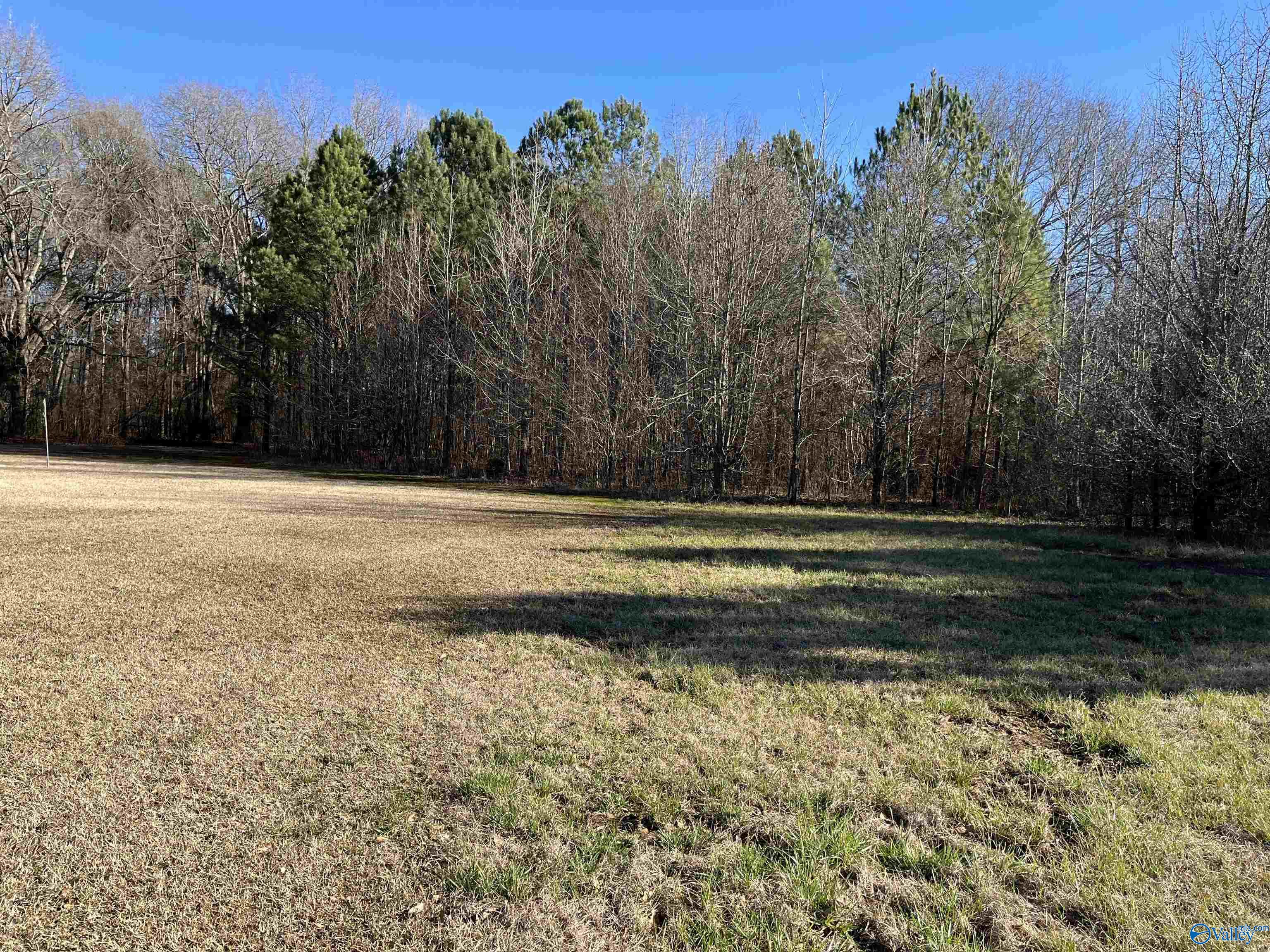 20 Ac Sierra Drive, Decatur, Alabama image 3