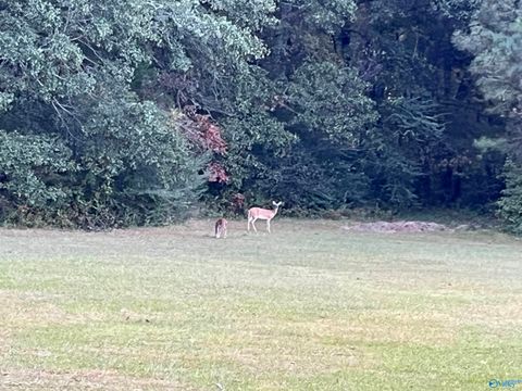 Vacant Land For Sale - 20 AC Sierra Drive<br/> Decatur, AL 35603