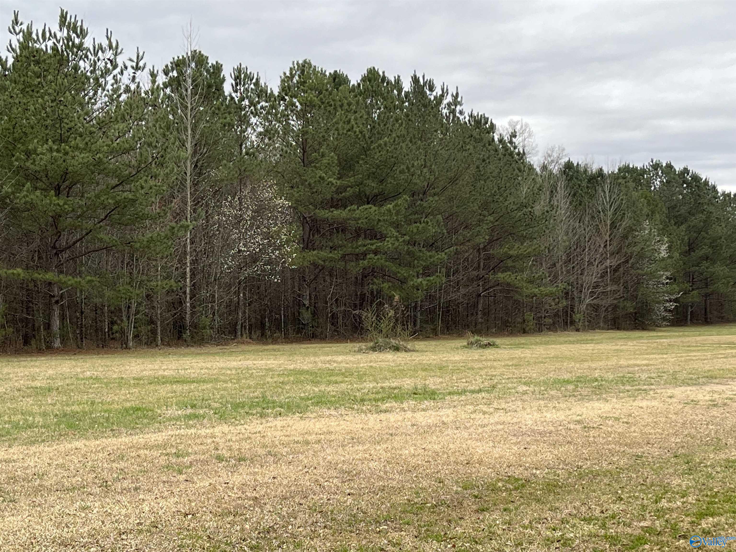 20 Ac Sierra Drive, Decatur, Alabama image 2